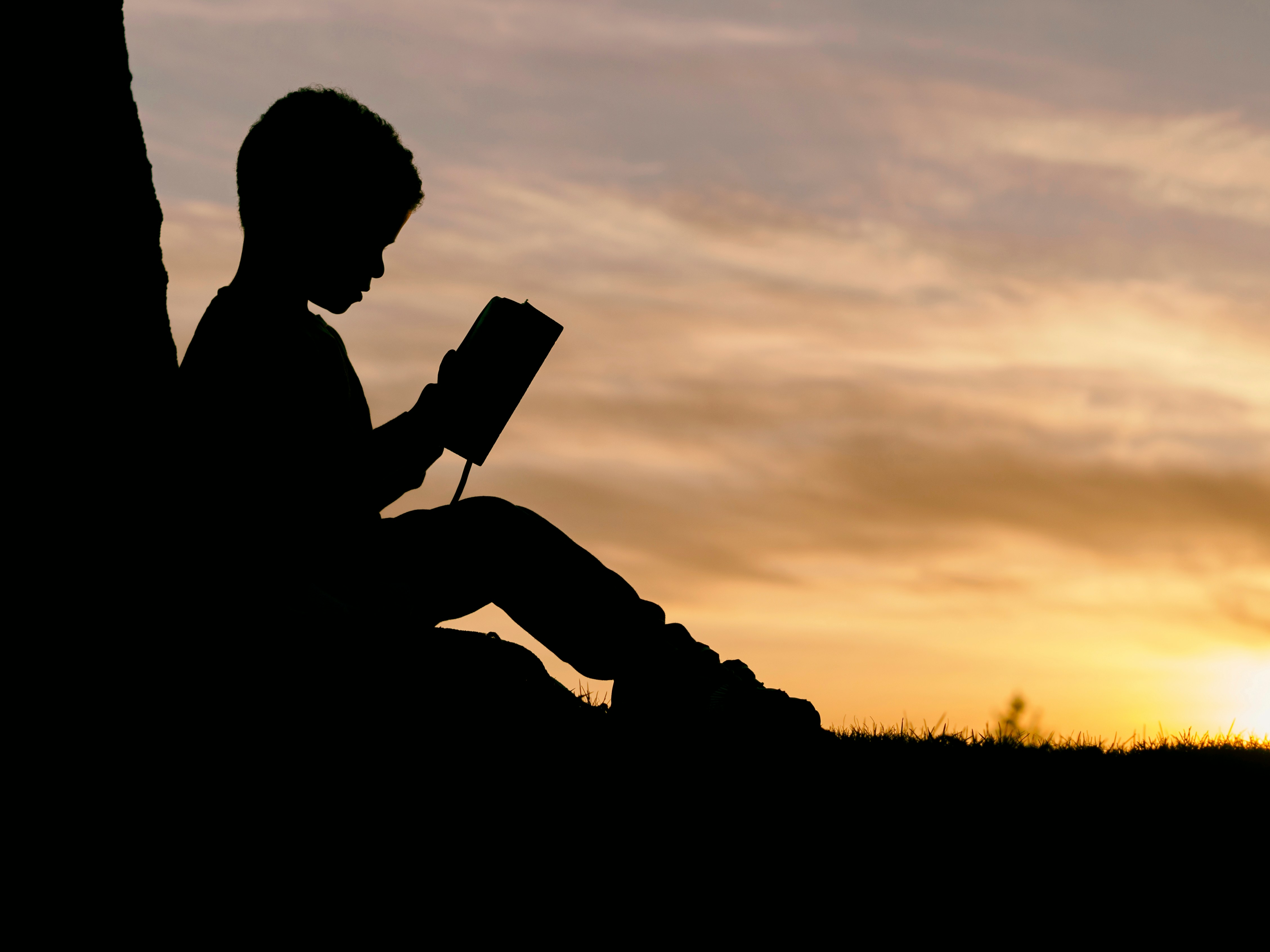 Scholarship program — students and education activities